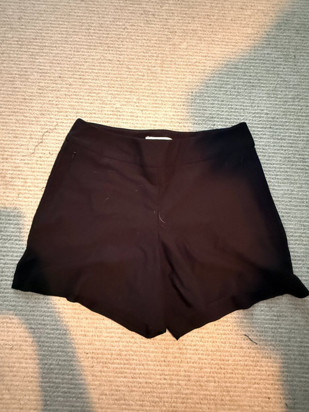 Business Casual Shorts